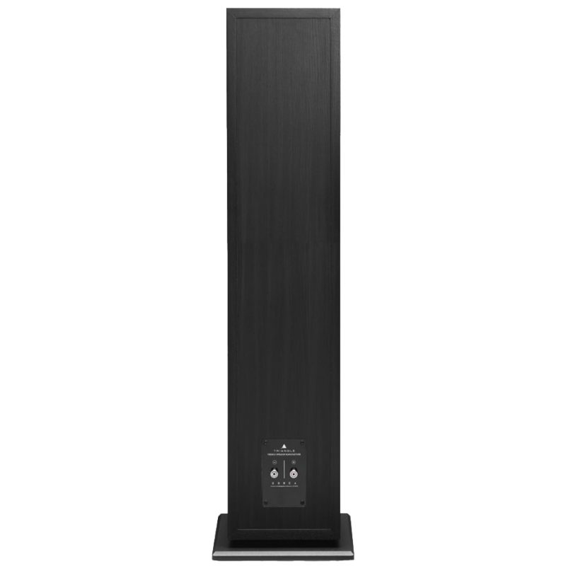 Triangle Borea BR07 Floorstanding Speakers - Image 4
