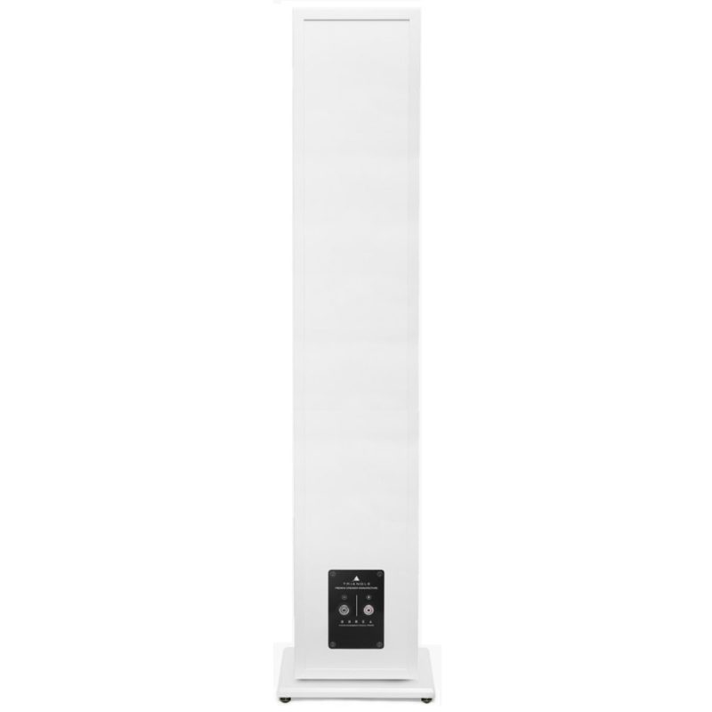 Triangle Borea BR09 Floorstanding Speakers - Image 4